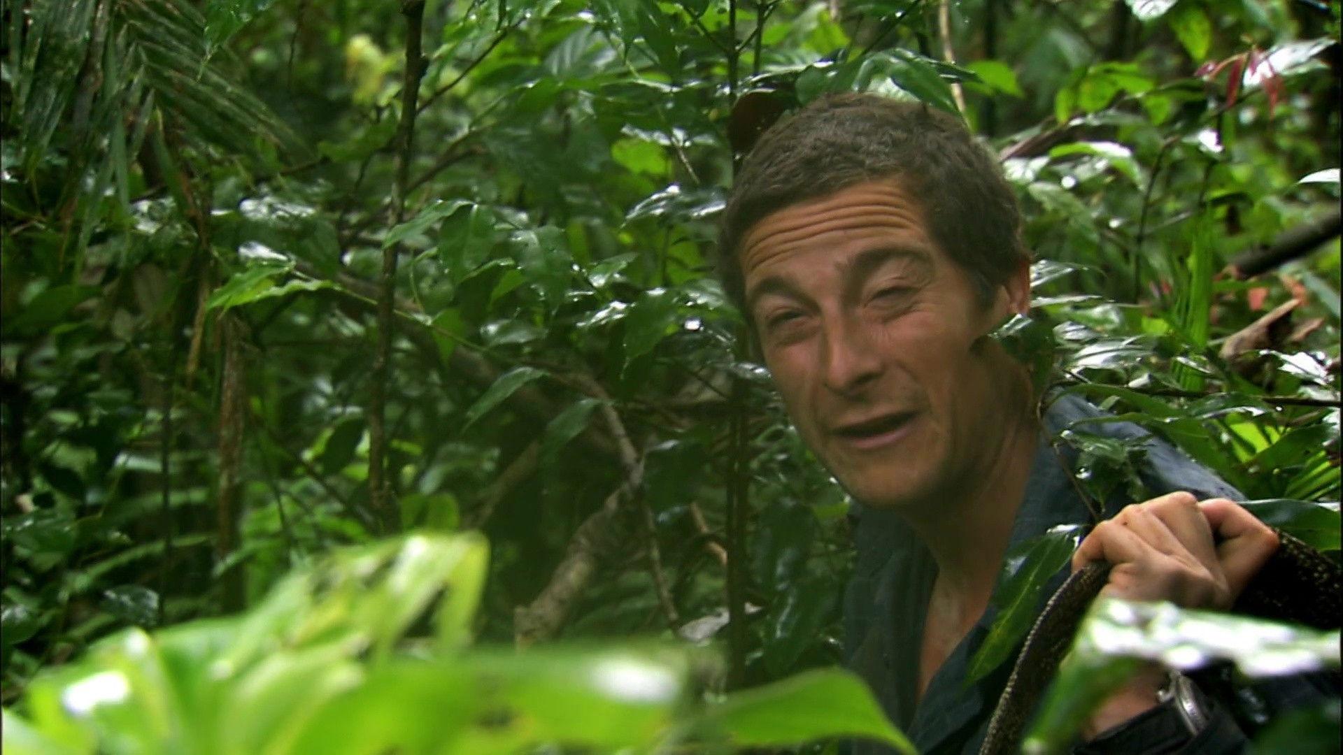 Still from Jungle Swamp (1)