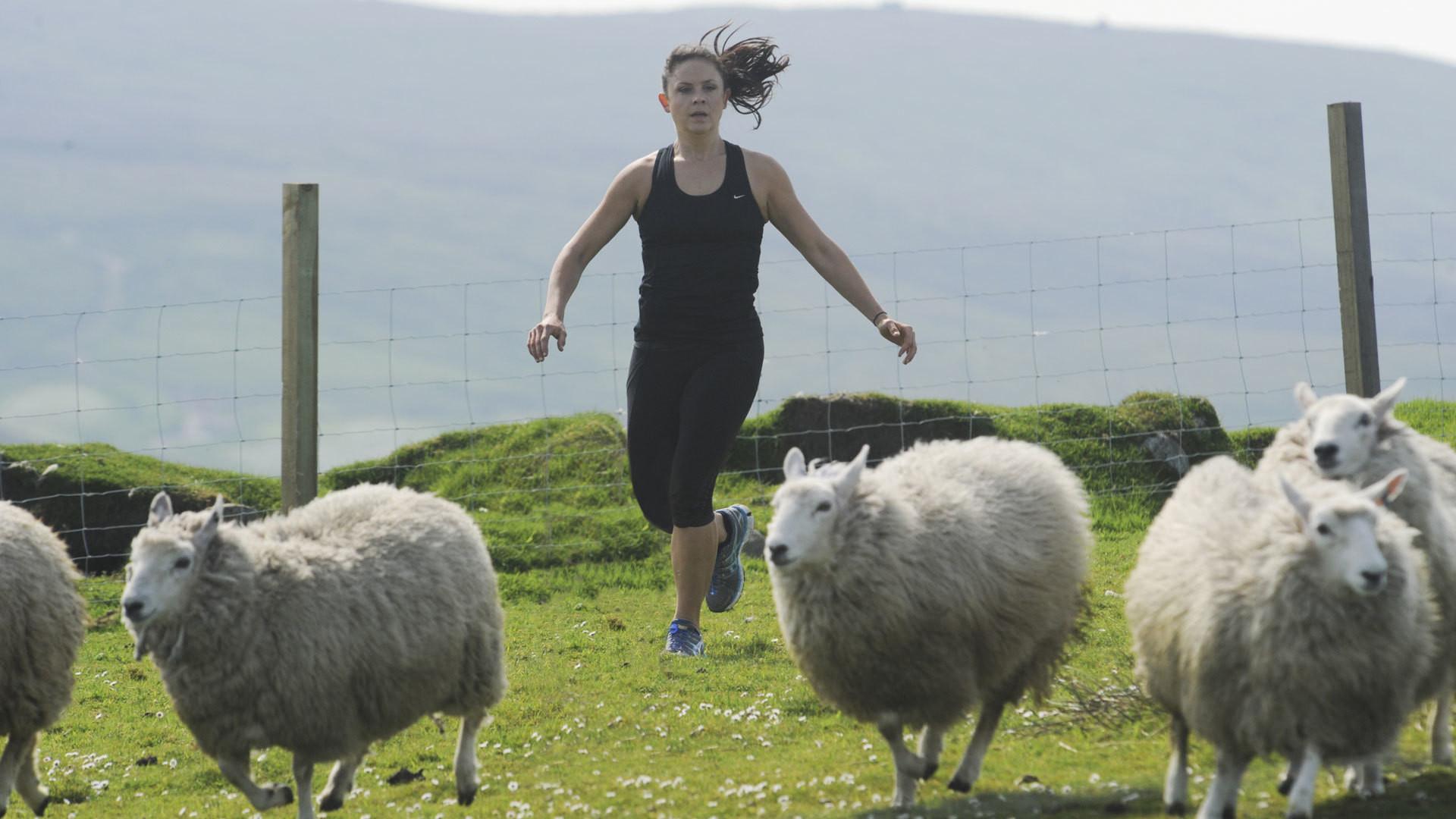 Still from Get Your Sheep Together