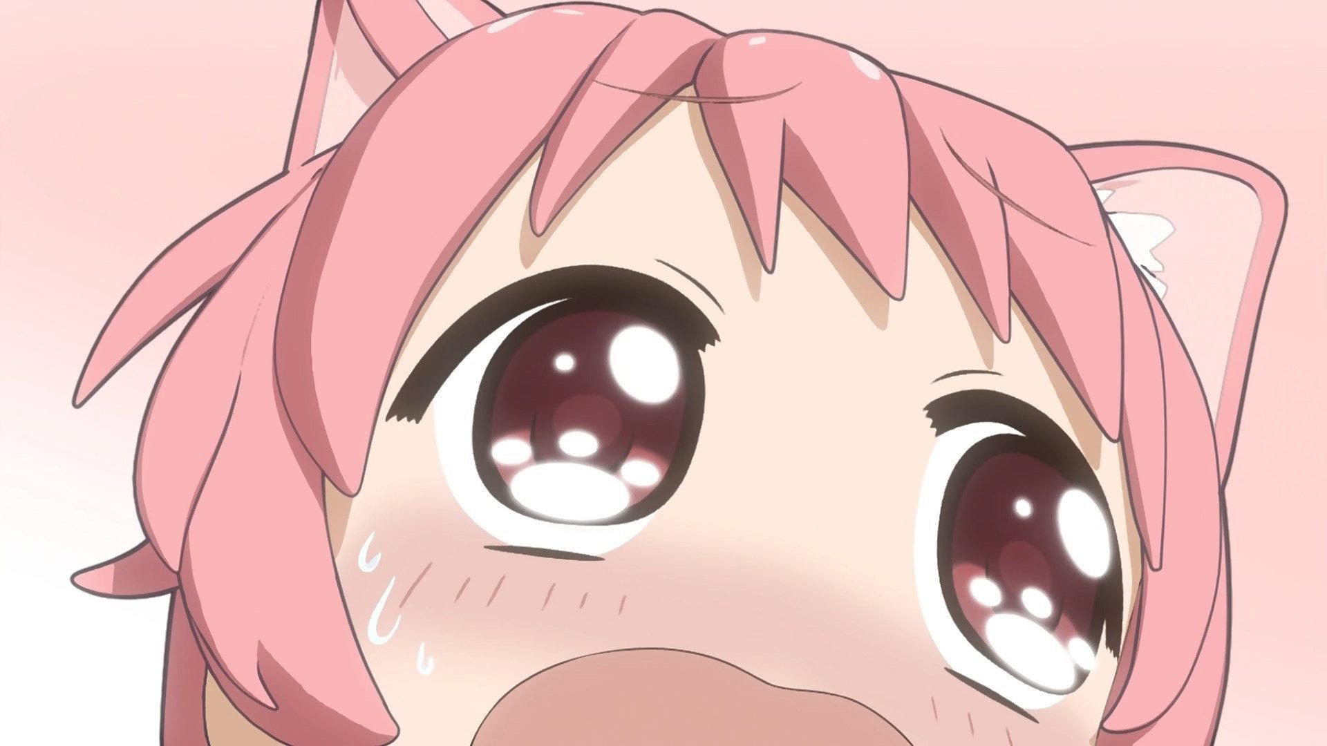 Still from Nyanyashiki - 02