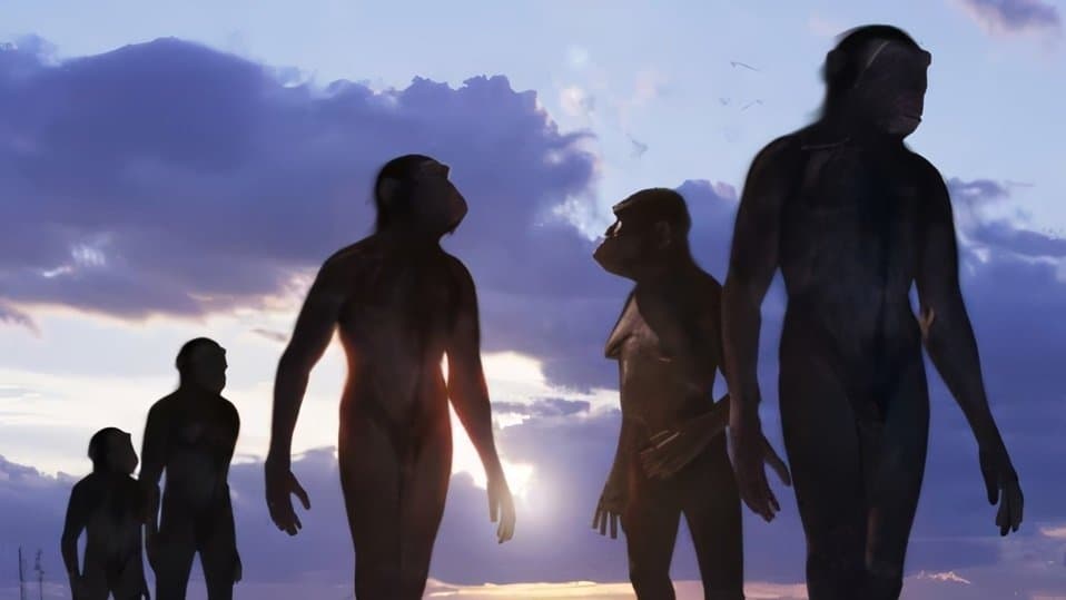 Still from Next of Kin
