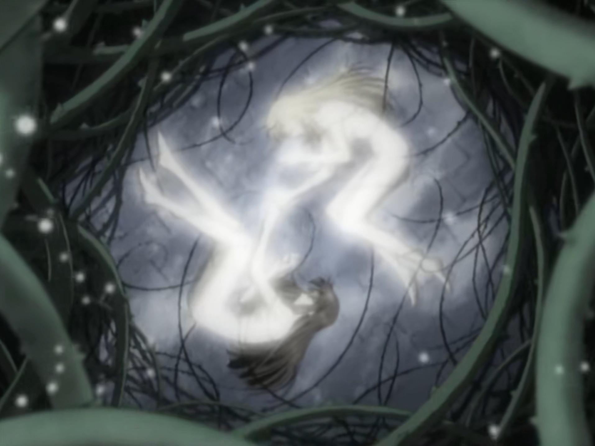 Still from The Forest of Briars