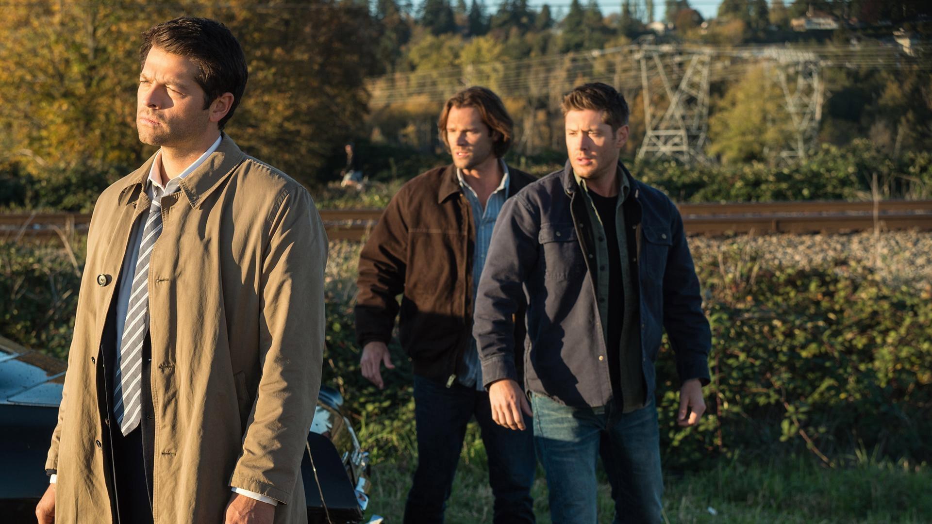 Still from LOTUS