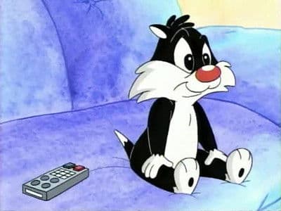 Still from Cool for Cats