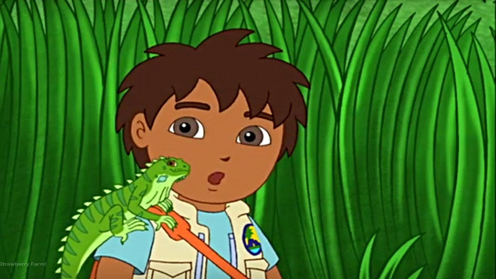 Still from The Iguana Sing Along