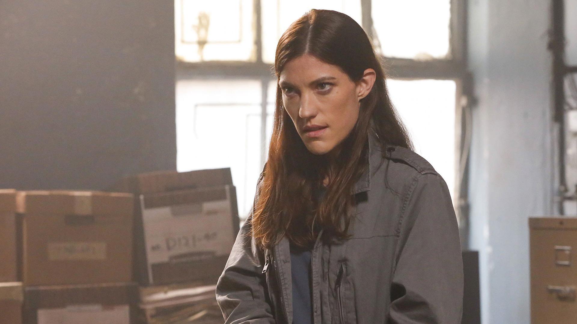 Still from Black Bear
