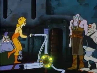 Still from The Wild Workout