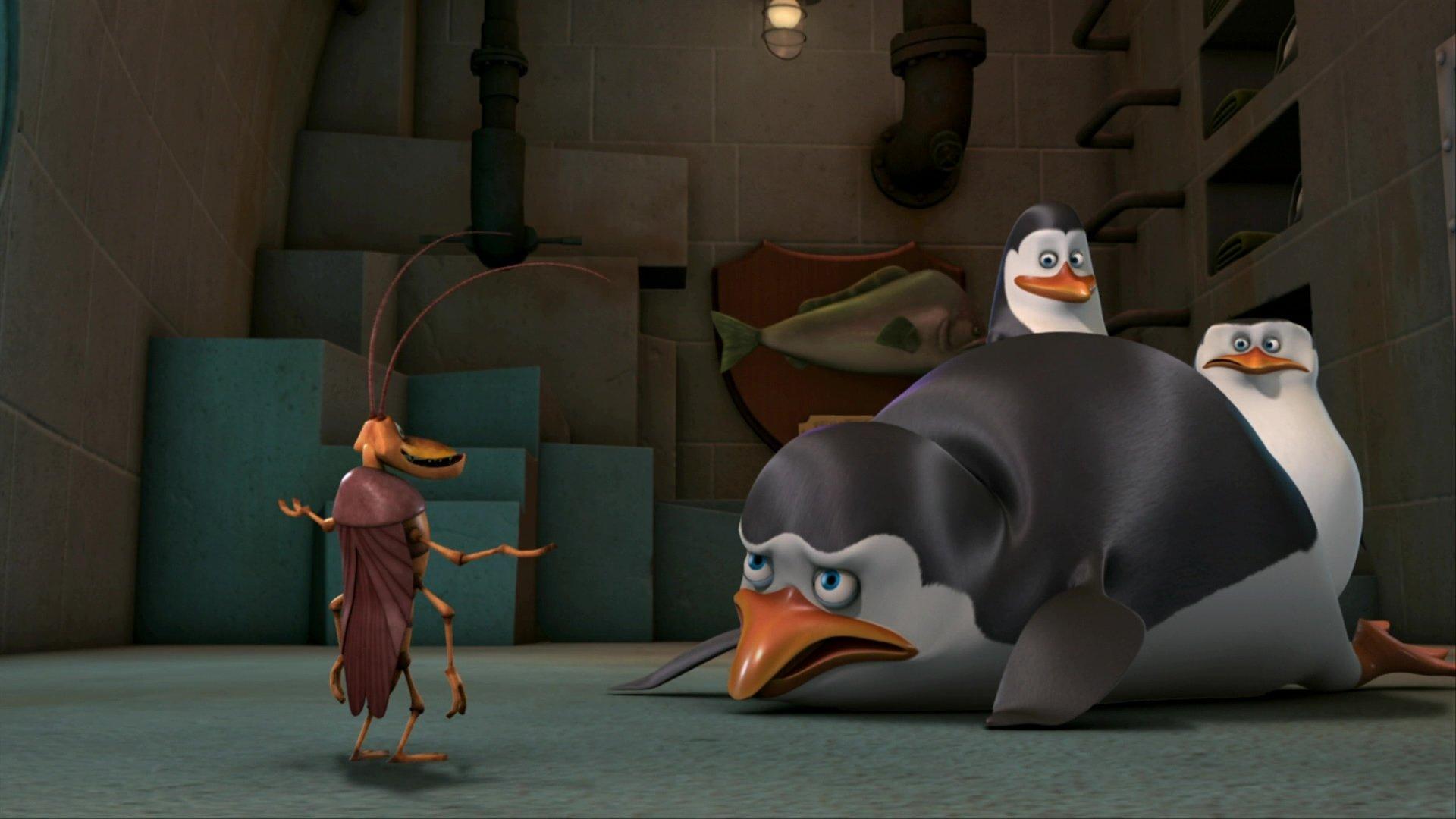 Still from Stop Bugging Me