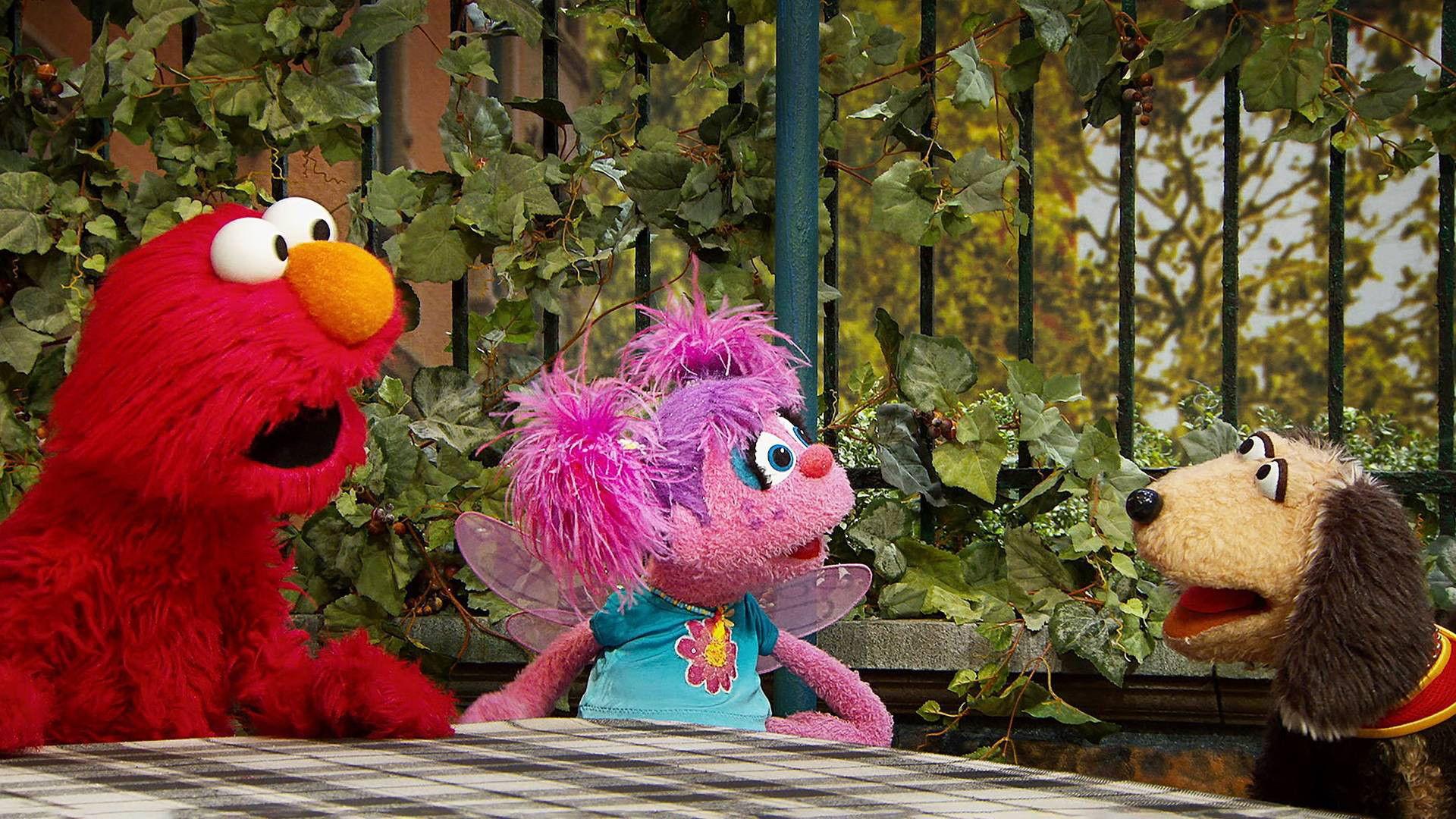 Still from A Dog and a Song!