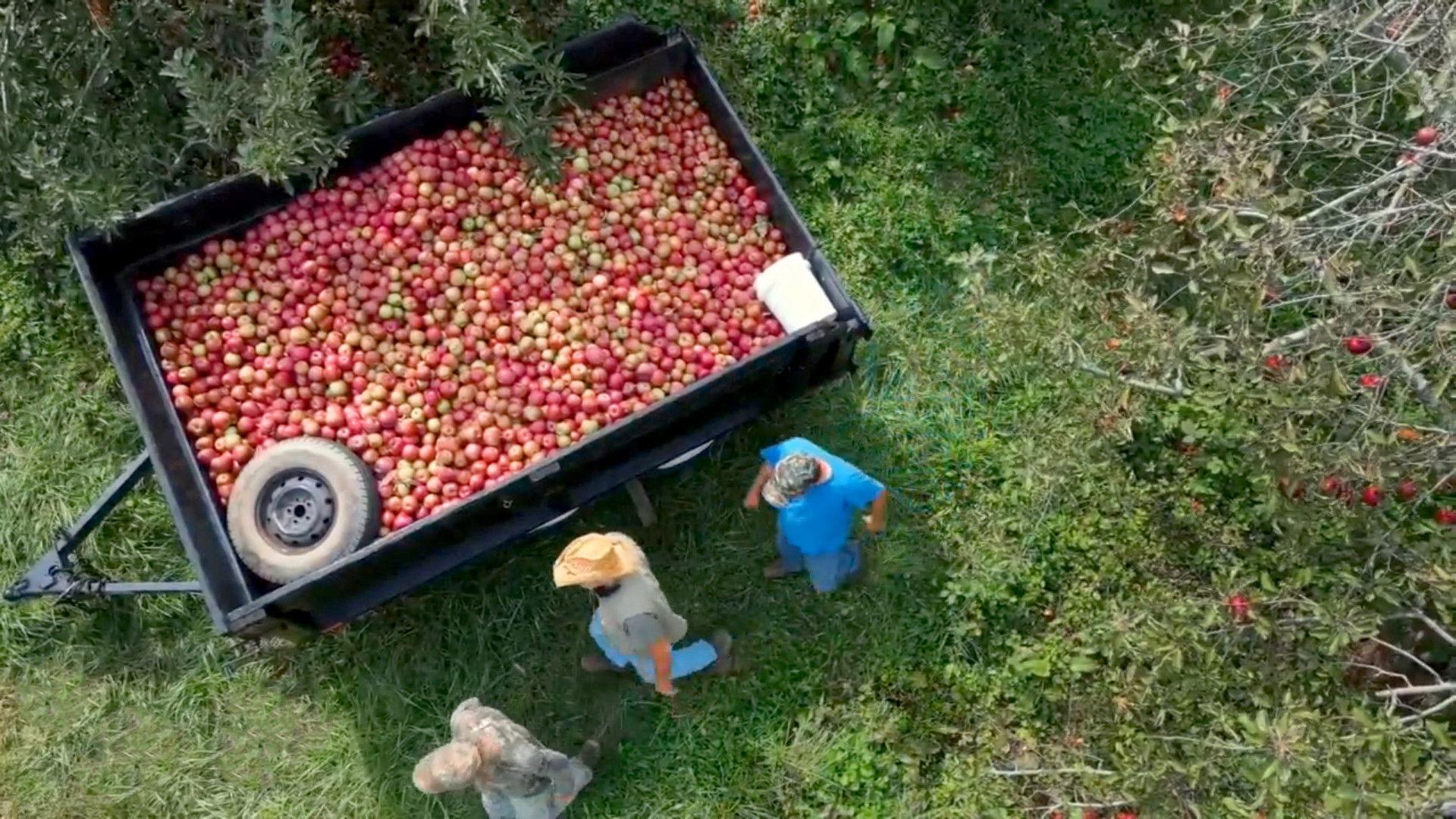 Still from Too Much of a Good Thing