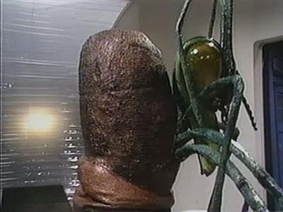 Still from The Ark in Space (4)