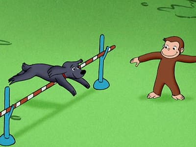 Still from The Box and the Hound