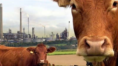 Still from A Farm for the Future