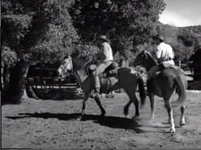 Still from Sky