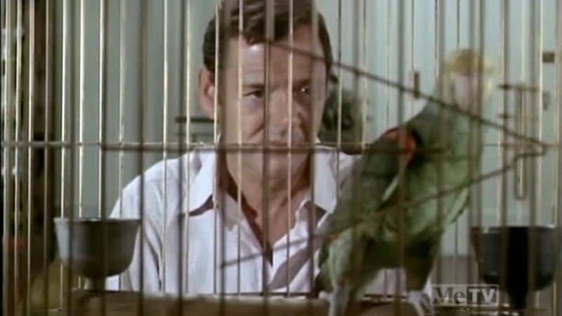 Still from It's All Over Now, Baby Bird