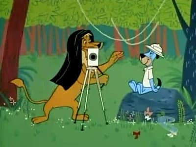Still from Bare Face Bear