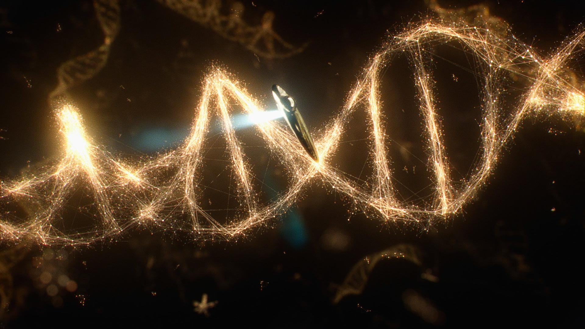 Still from Some of the Things that Molecules Do