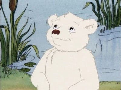 Still from Polar Bear