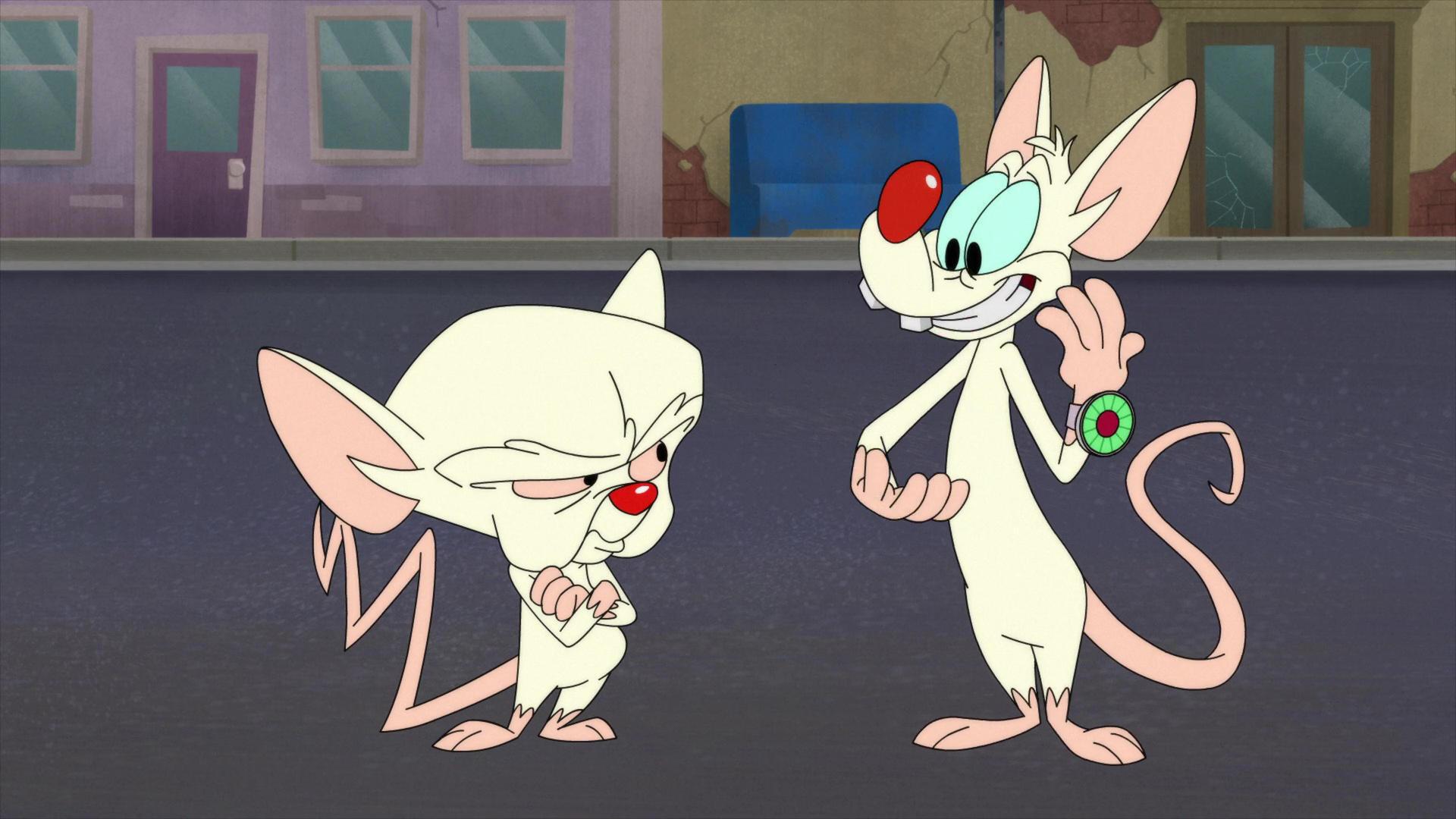 Still from Run Pinky Run
