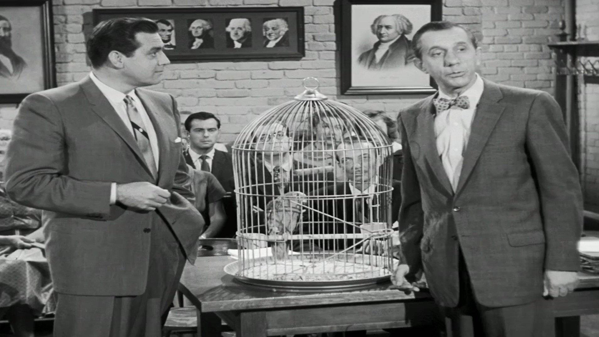 Still from The Case of the Perjured Parrot