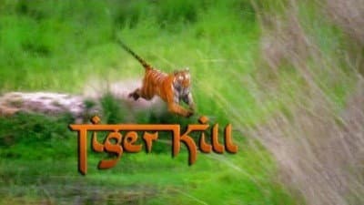 Still from Tiger Kill