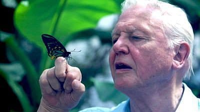Still from Attenborough's Ark