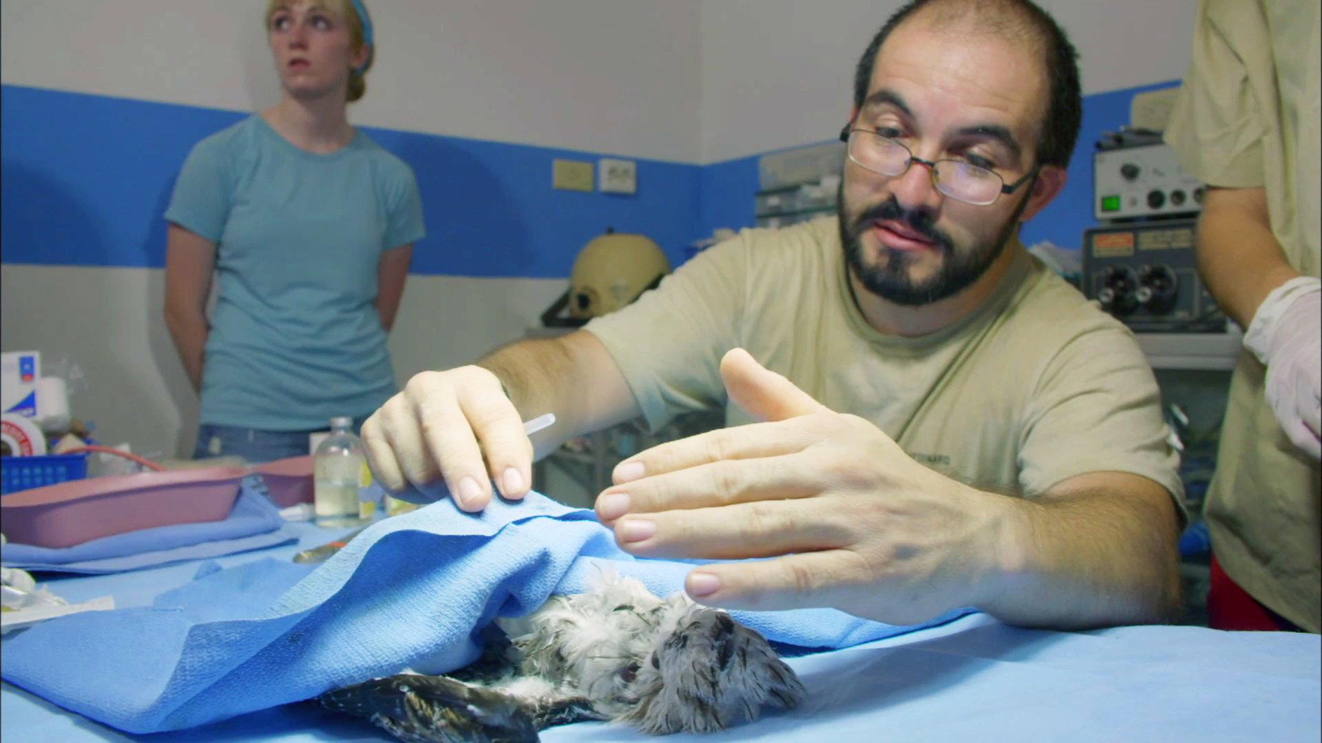 Still from Jungle Animal Hospital