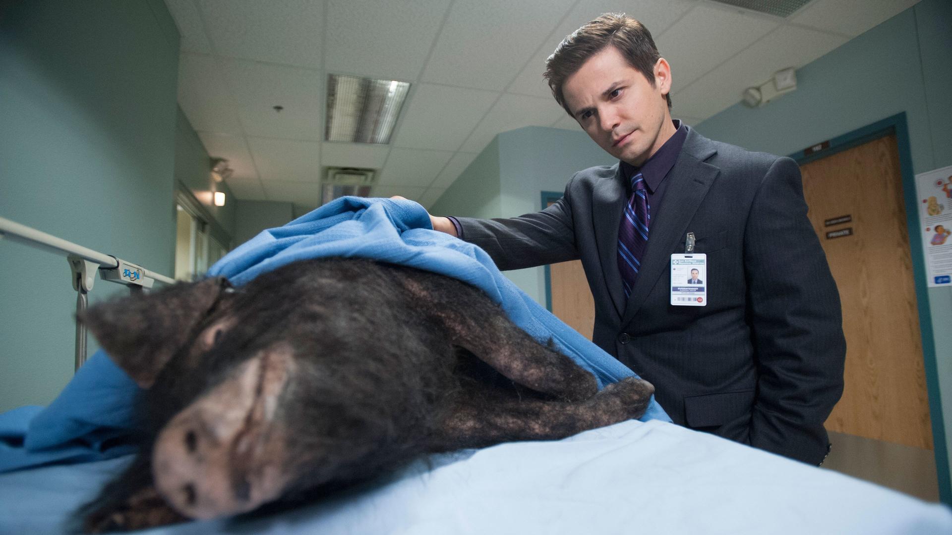 Still from Hog Wild