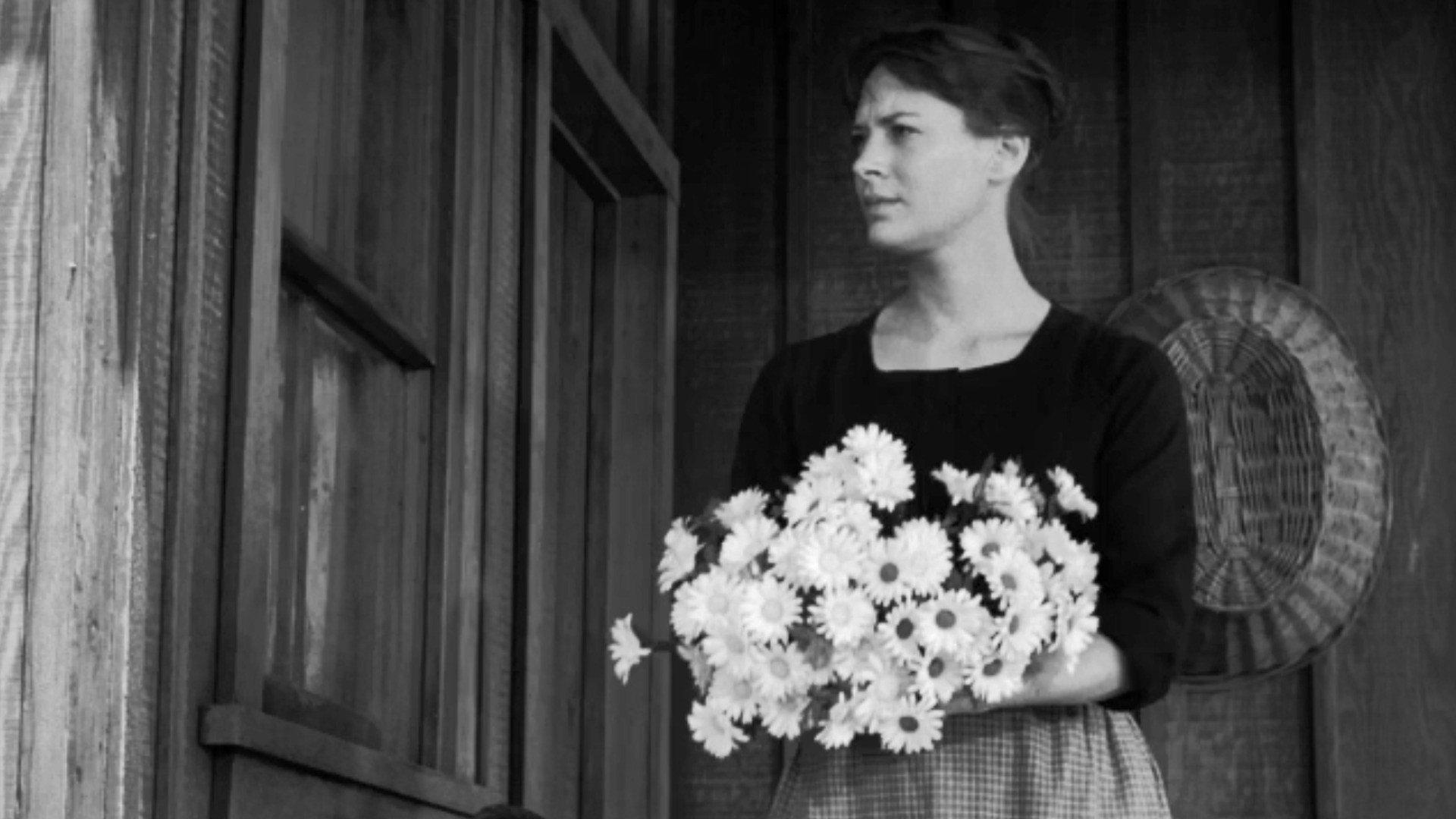 Still from Nina's Revenge