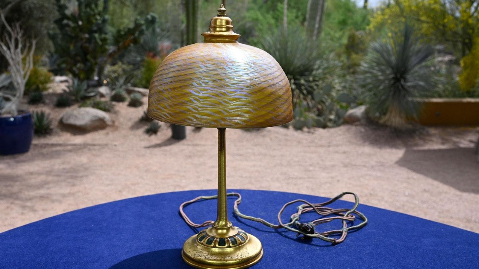 Still from Desert Botanical Garden, Hour 1