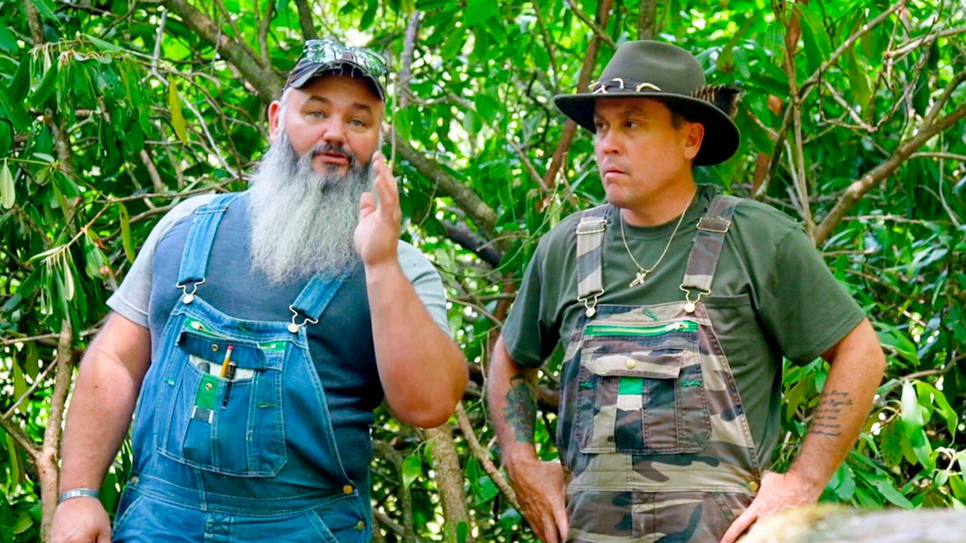 Still from Code Enforcement