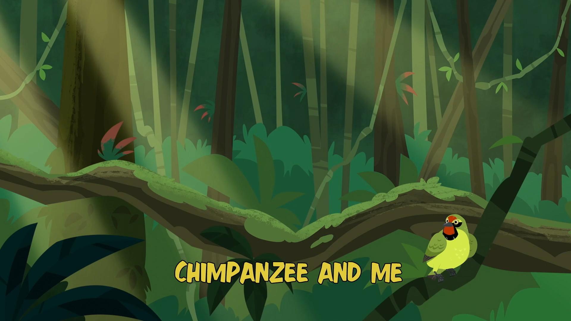 Still from Chimpanzee and Me