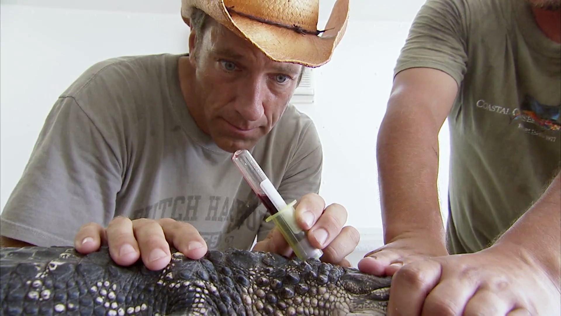 Still from Alligator Egg Collector