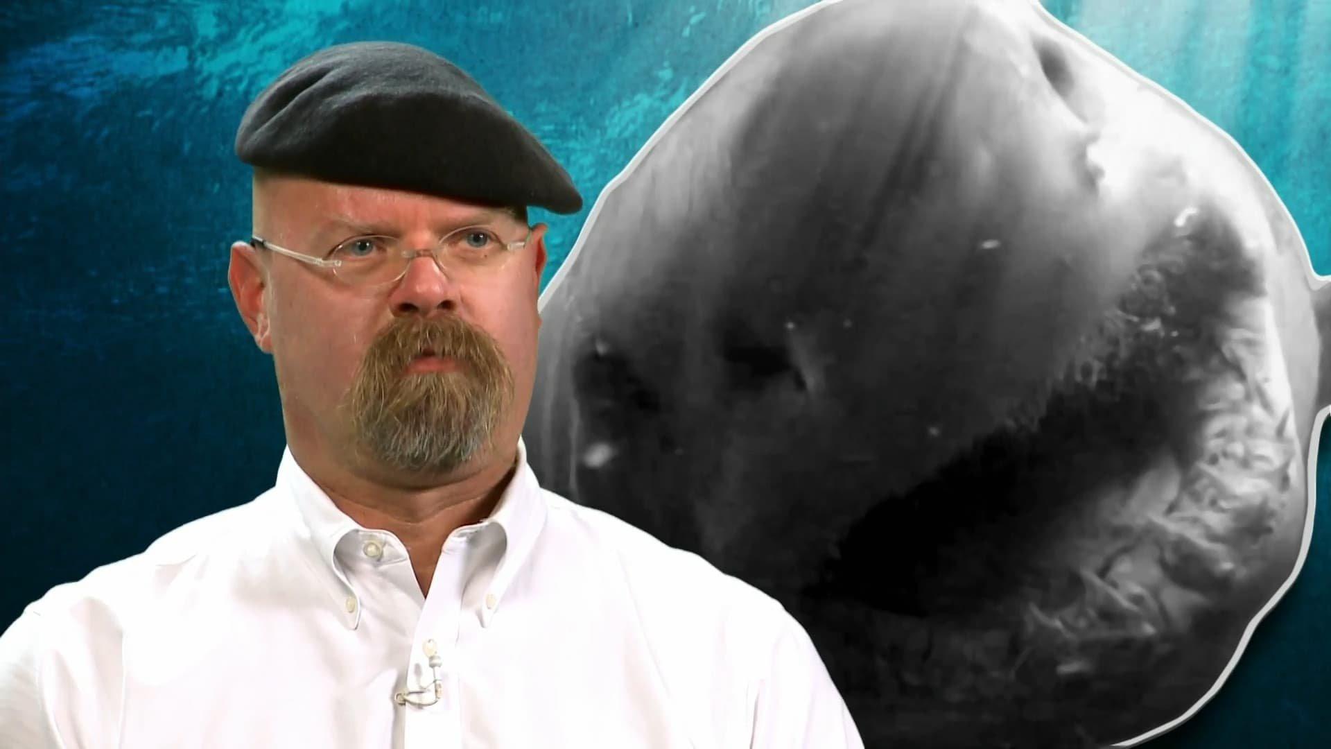 Still from Jawsome Shark Special