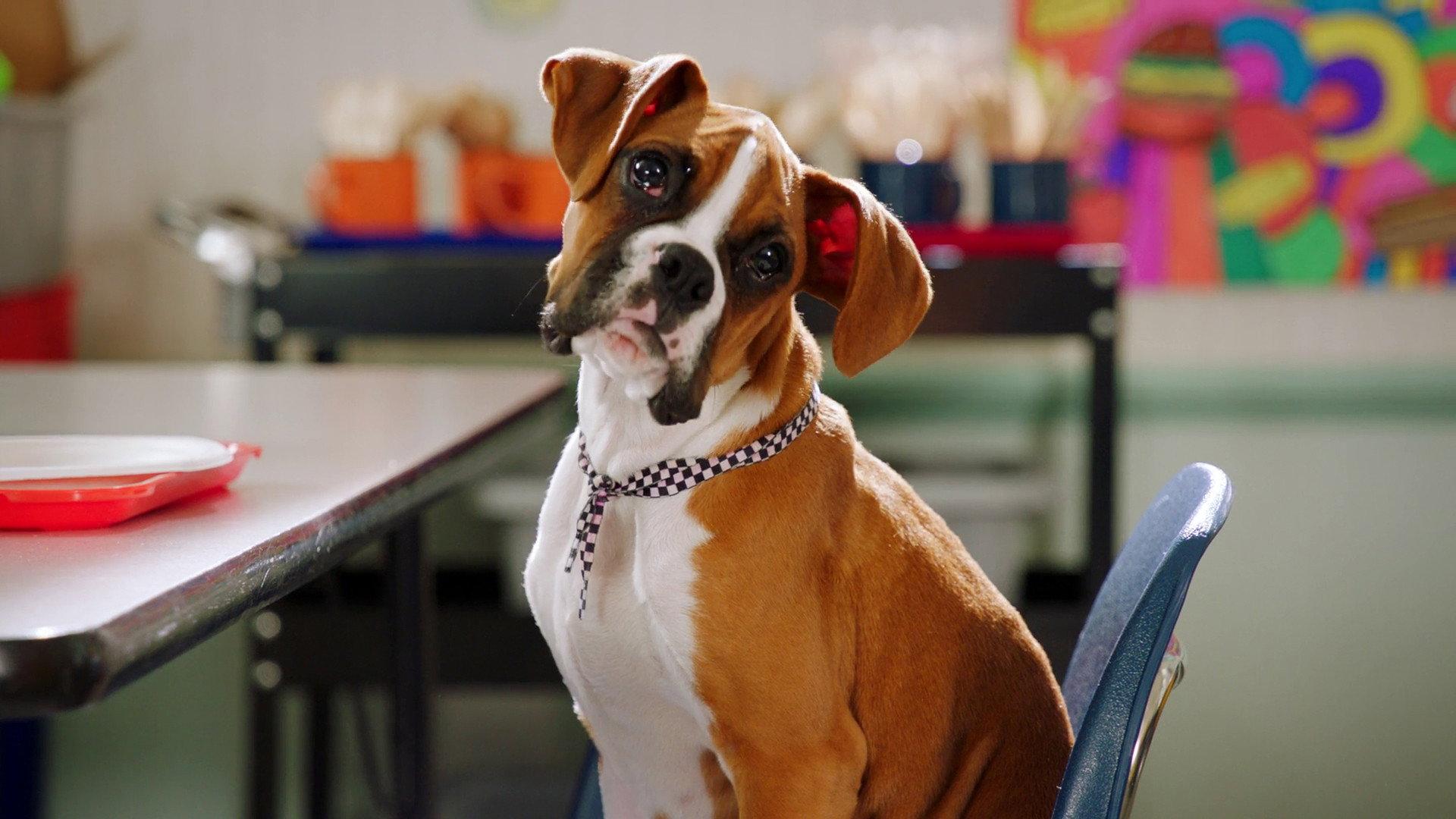 Still from Spark Wants Back