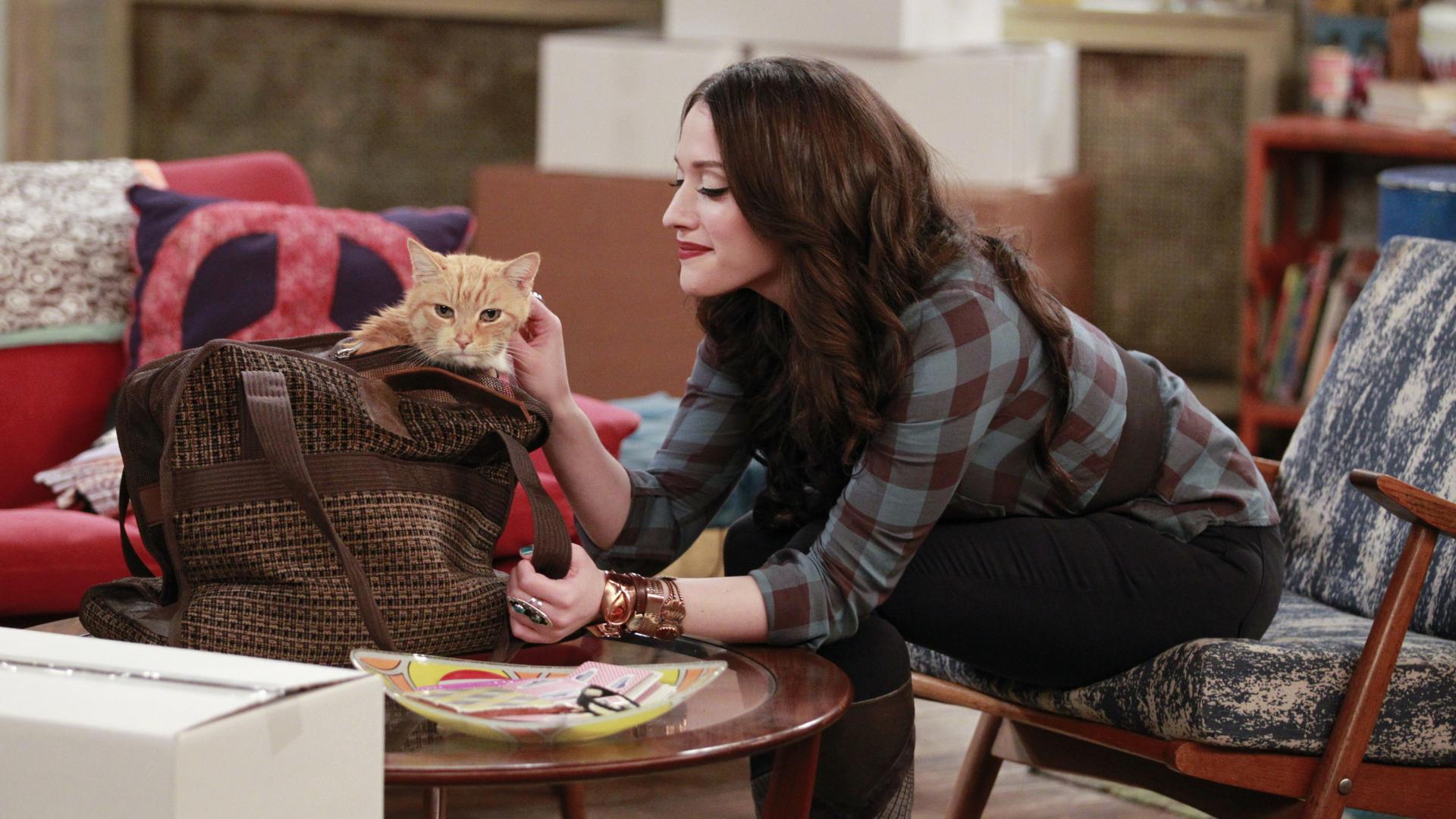 Still from And The Fat Cat