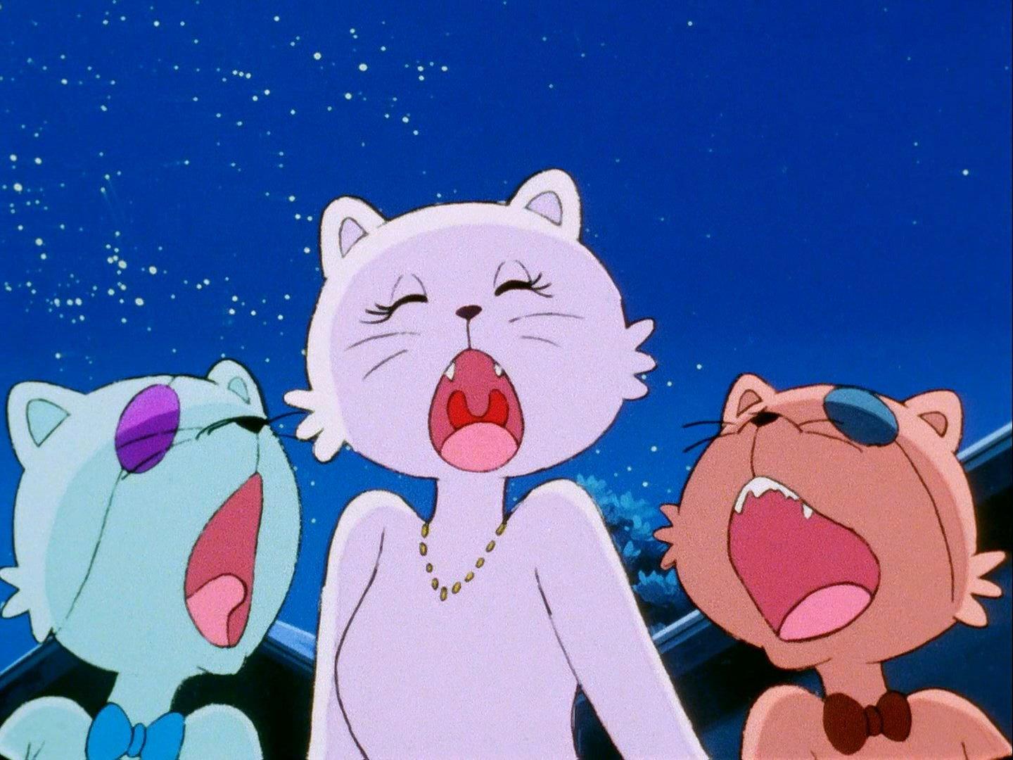Still from The Terror of Meow