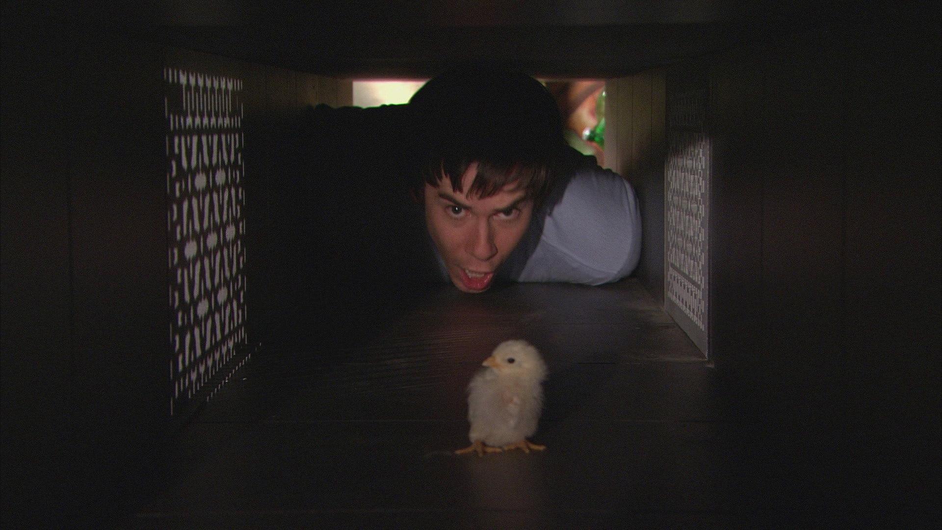 Still from iHatch Chicks
