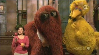 Still from Big Bird and Snuffy Talent Show