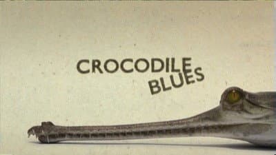 Still from Crocodile Blues