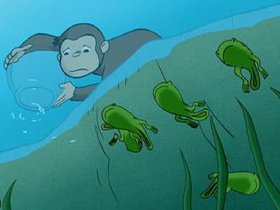 Still from Curious George Discovers the Poles