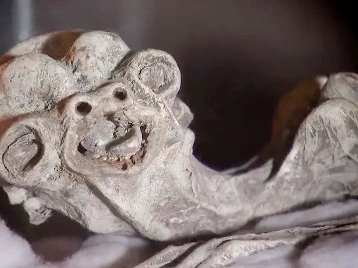 Still from Cold-Blooded Horror