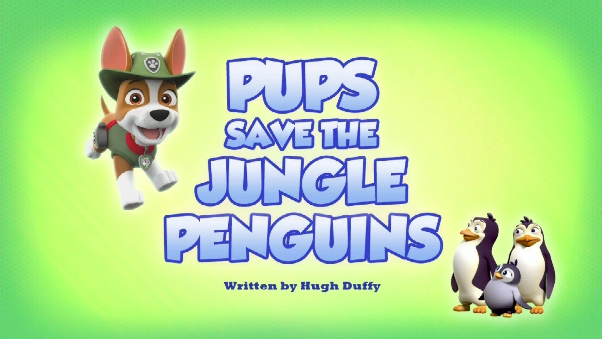 Still from Pups Save the Jungle Penguins