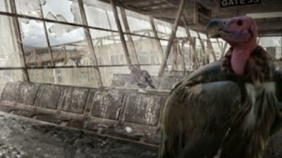 Still from Sky's The Limit
