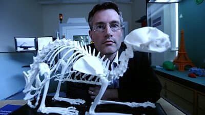Still from 70 Million Animal Mummies: Egypt's Dark Secret