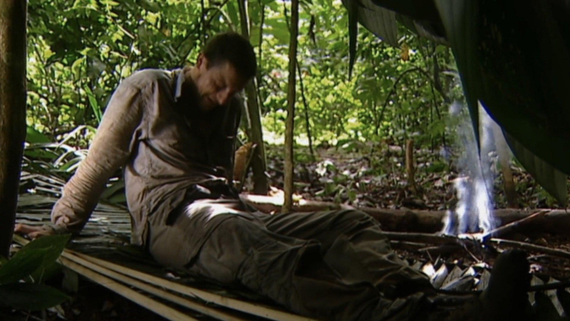 Still from Costa Rican Rain Forest