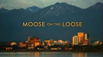Still from Moose on the Loose