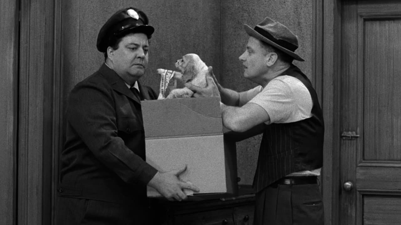 Still from A Dog's Life