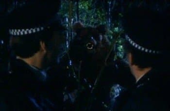 Still from The Beast Of Hackney Marshes