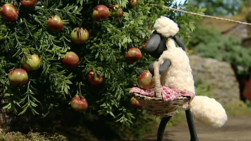 Still from Scrumping