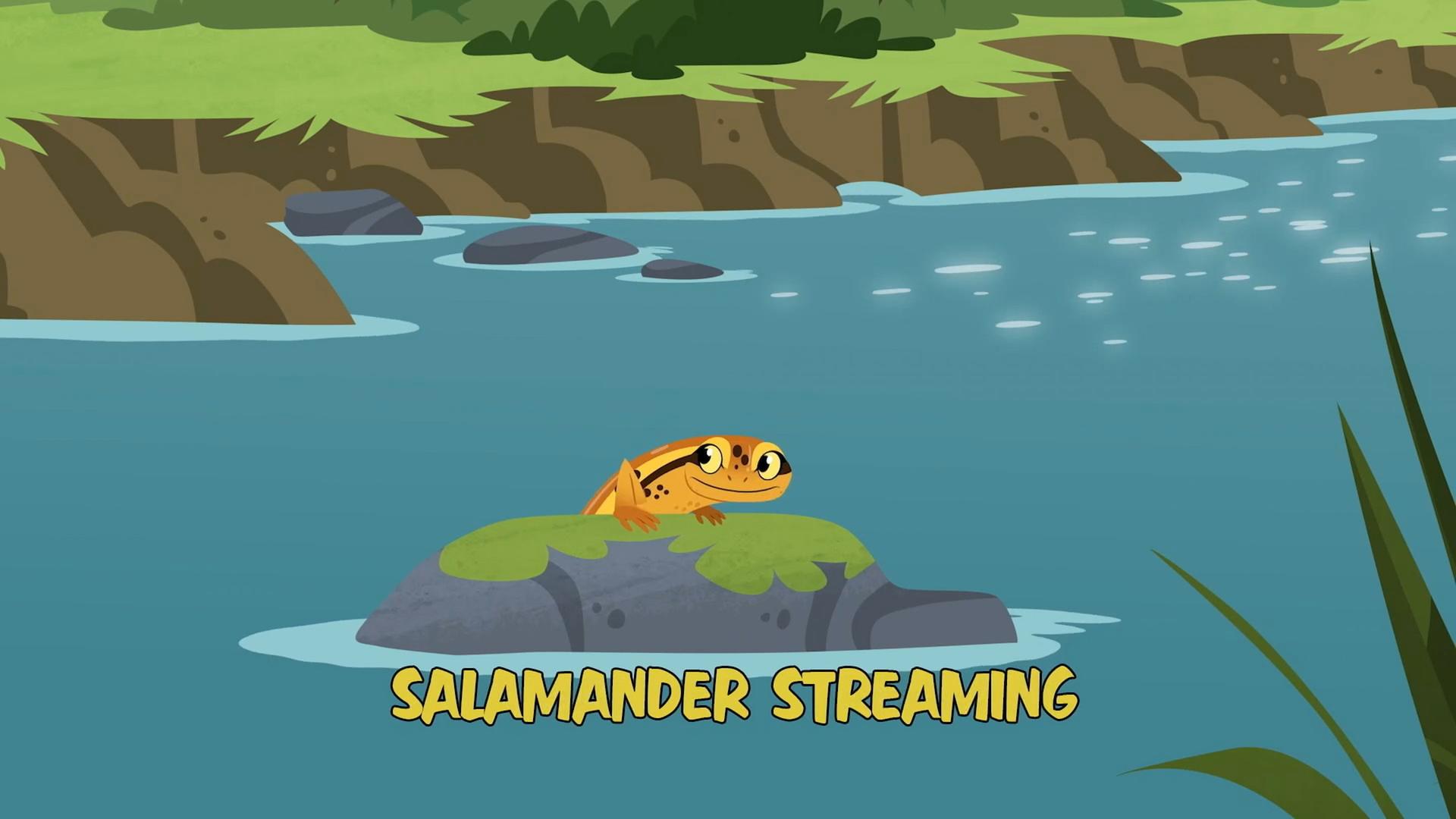 Still from Salamander Streaming